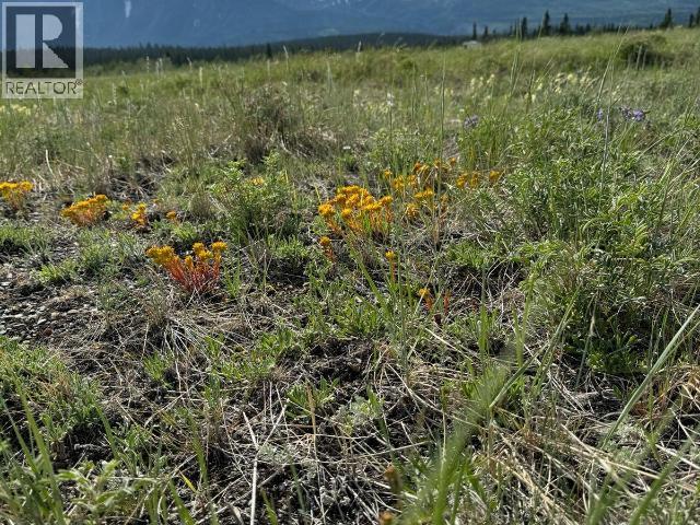 2 Alsek Valley Road, Haines Junction, Yukon Y0B 1L0 - Photo 25 - 17113
