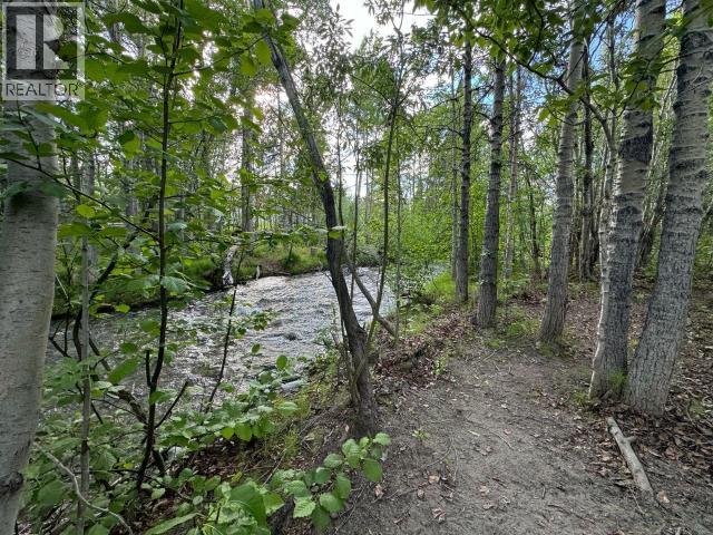2 Alsek Valley Road, Haines Junction, Yukon Y0B 1L0 - Photo 27 - 17113
