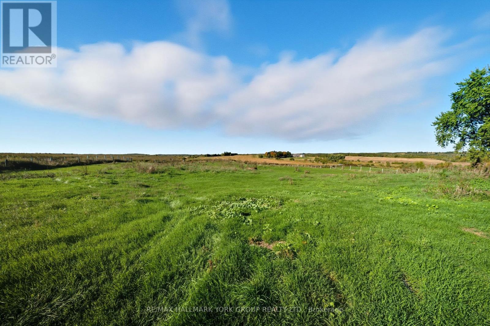 7450 Liberty Street N, Clarington, Ontario  L1C 6K4 - Photo 40 - E12893346