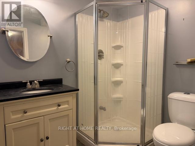 3910 Stardust Drive, Mississauga, Ontario  L5M 8A6 - Photo 24 - W12893452