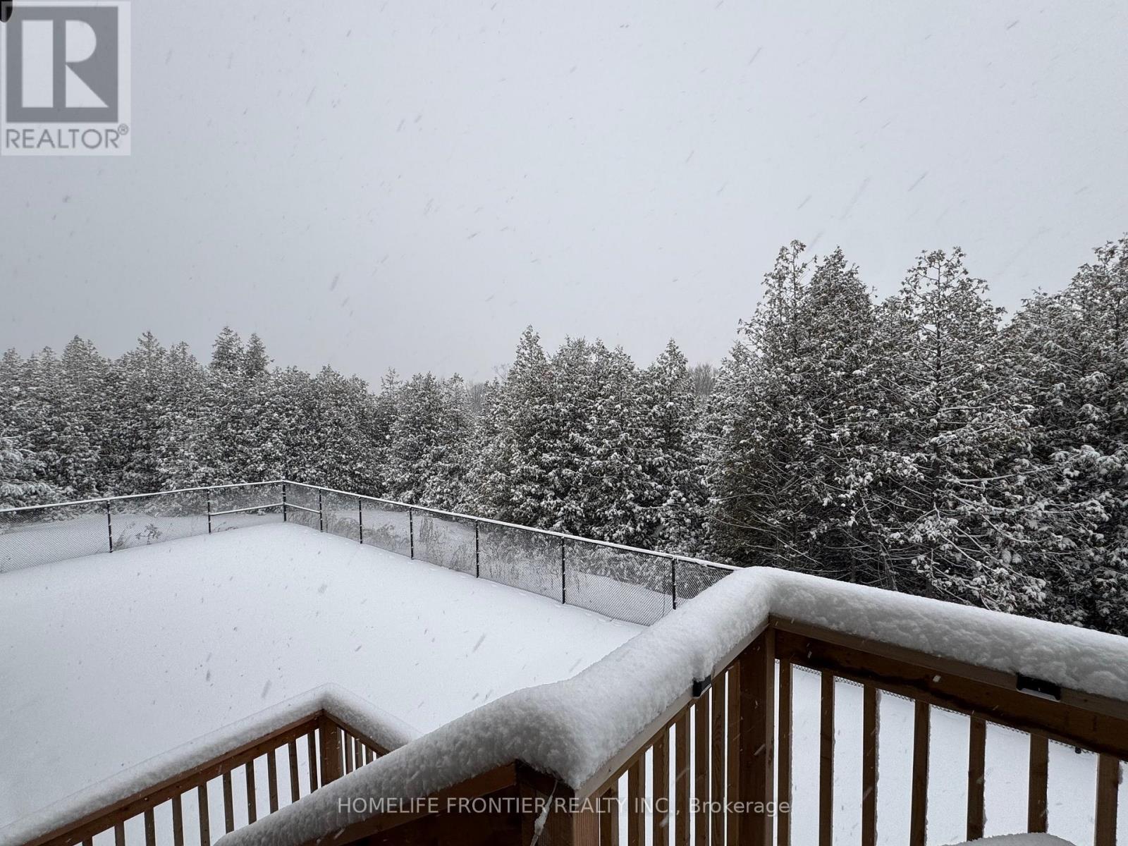 296 Ben Sinclair Avenue, East Gwillimbury, Ontario  L9N 0Z1 - Photo 37 - N12769162