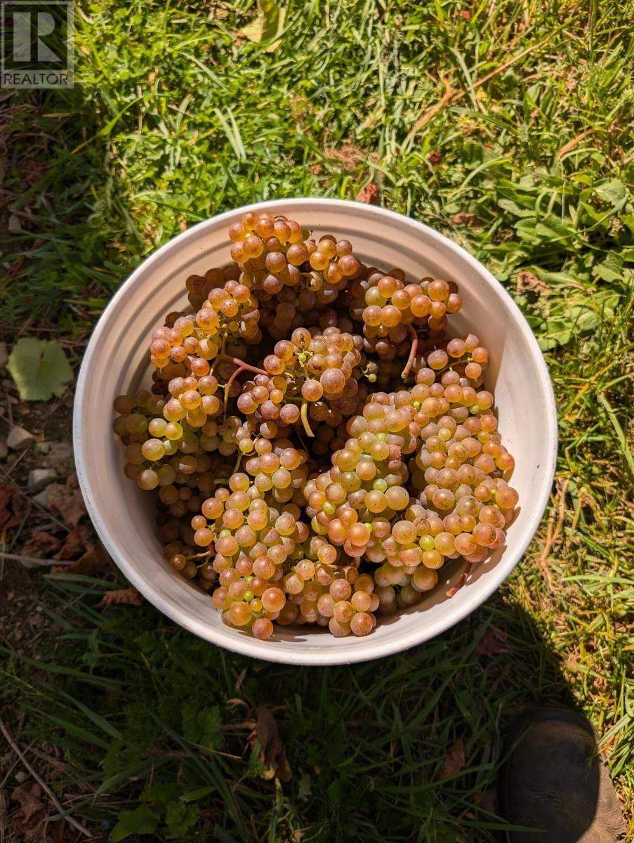 4113 Highway 340, Carleton, Nova Scotia  B5A 5N9 - Photo 21 - 202529196