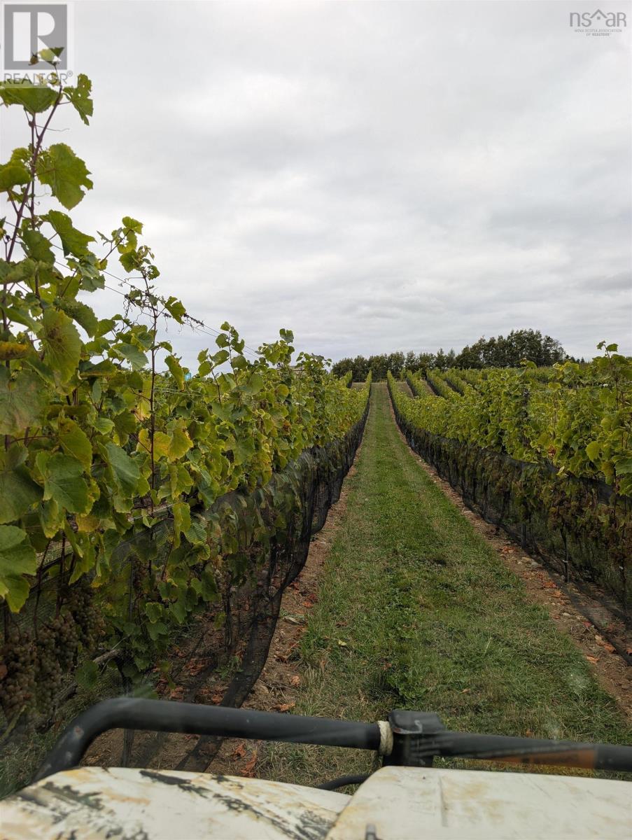 4113 Highway 340, Carleton, Nova Scotia  B5A 5N9 - Photo 17 - 202529196