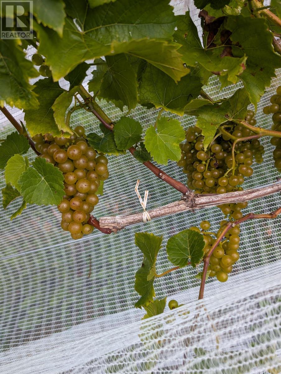 4113 Highway 340, Carleton, Nova Scotia  B5A 5N9 - Photo 20 - 202529196