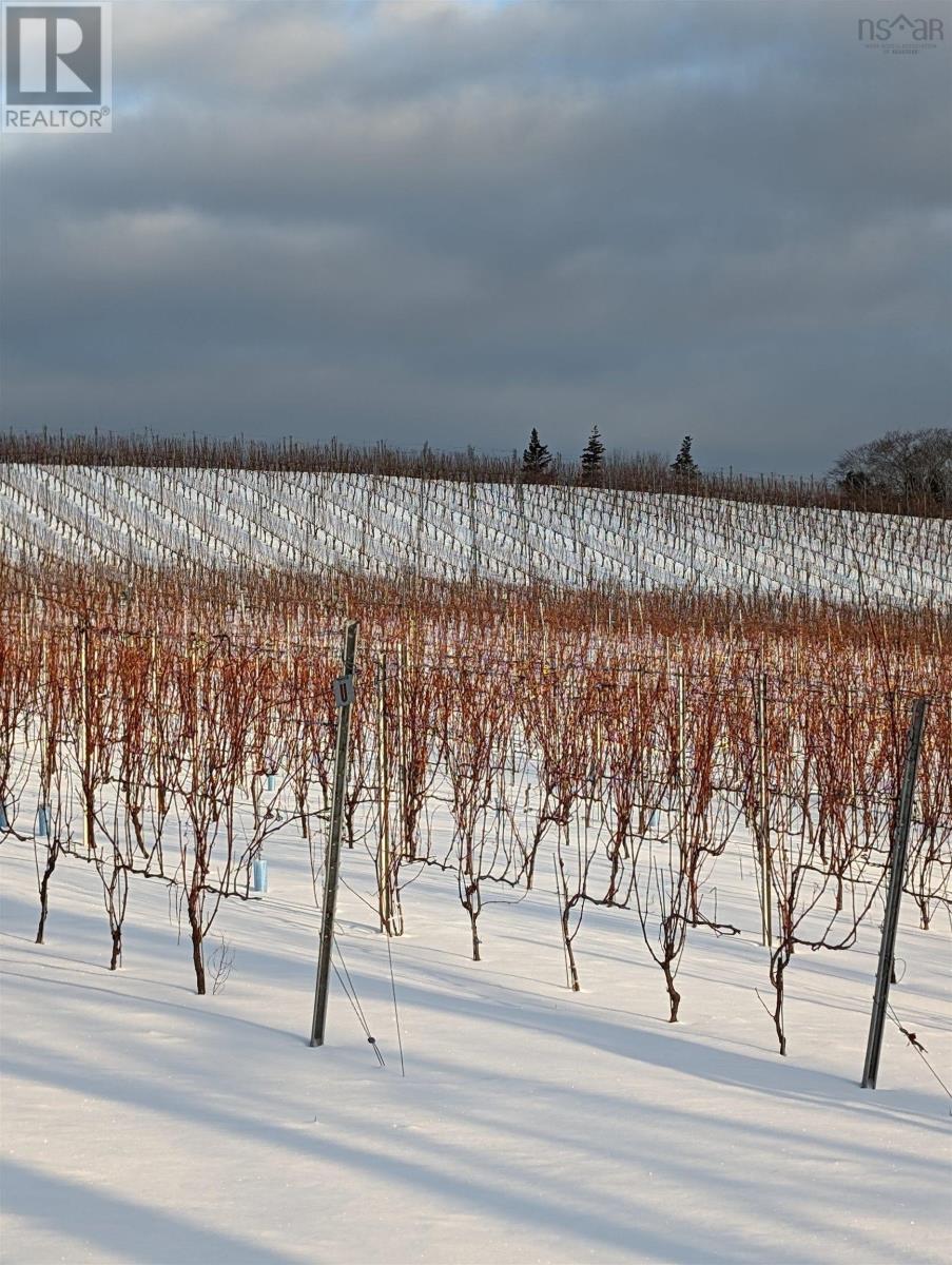 4113 Highway 340, Carleton, Nova Scotia  B5A 5N9 - Photo 23 - 202529196