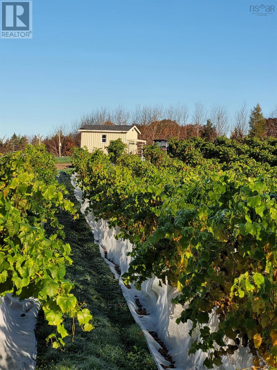 4113 Highway 340, Carleton, Nova Scotia  B5A 5N9 - Photo 30 - 202529196