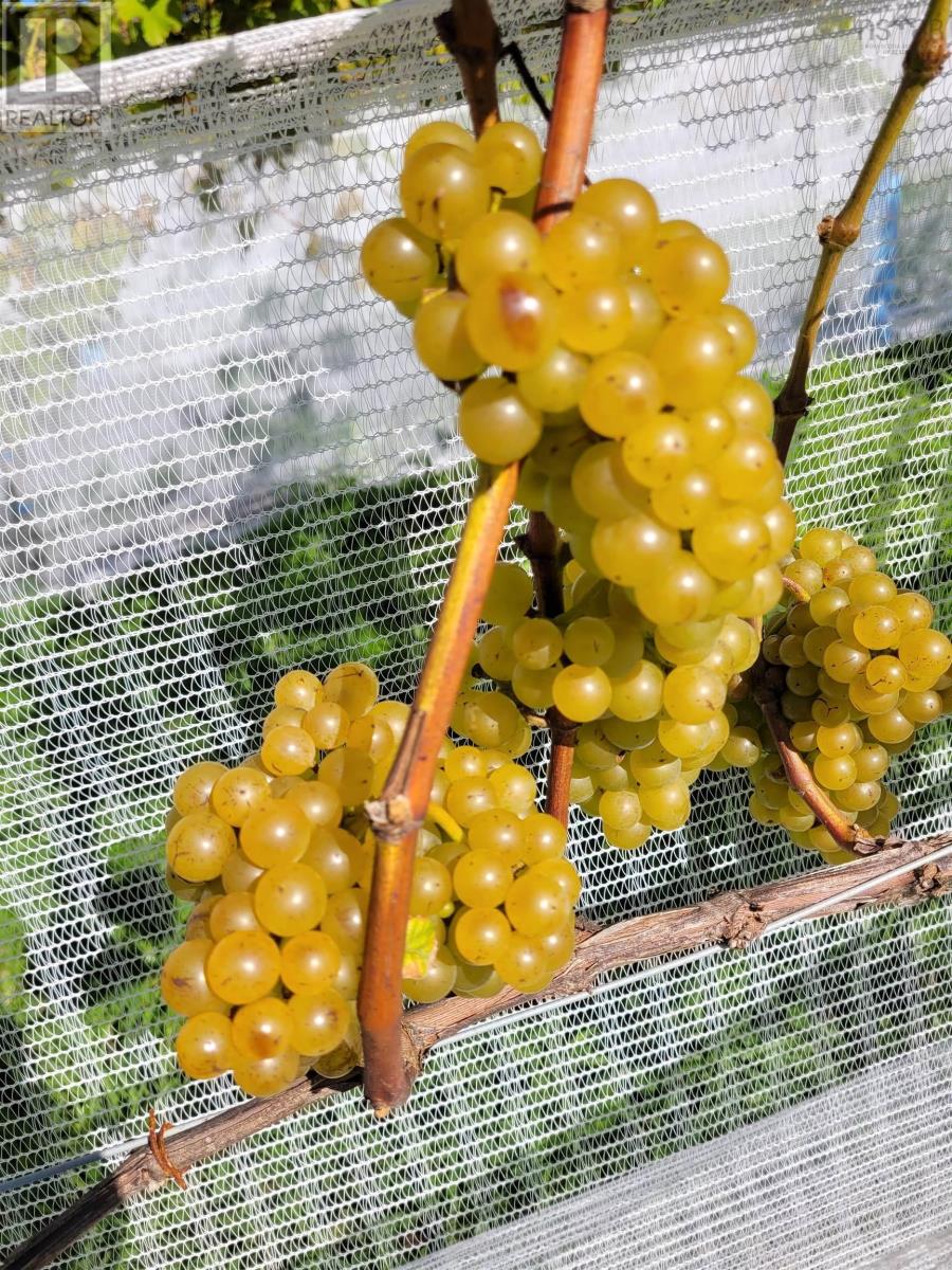 4113 Highway 340, Carleton, Nova Scotia  B5A 5N9 - Photo 32 - 202529196