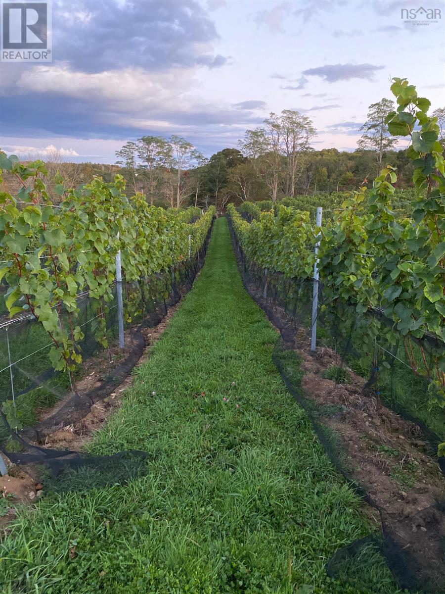 4113 Highway 340, Carleton, Nova Scotia  B5A 5N9 - Photo 39 - 202529196