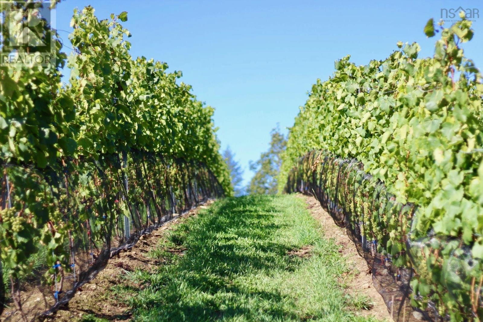 4113 Highway 340, Carleton, Nova Scotia  B5A 5N9 - Photo 8 - 202529196