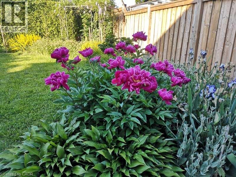 1294 Napier Crescent, Oakville, Ontario  L6H 2A4 - Photo 43 - 40809306