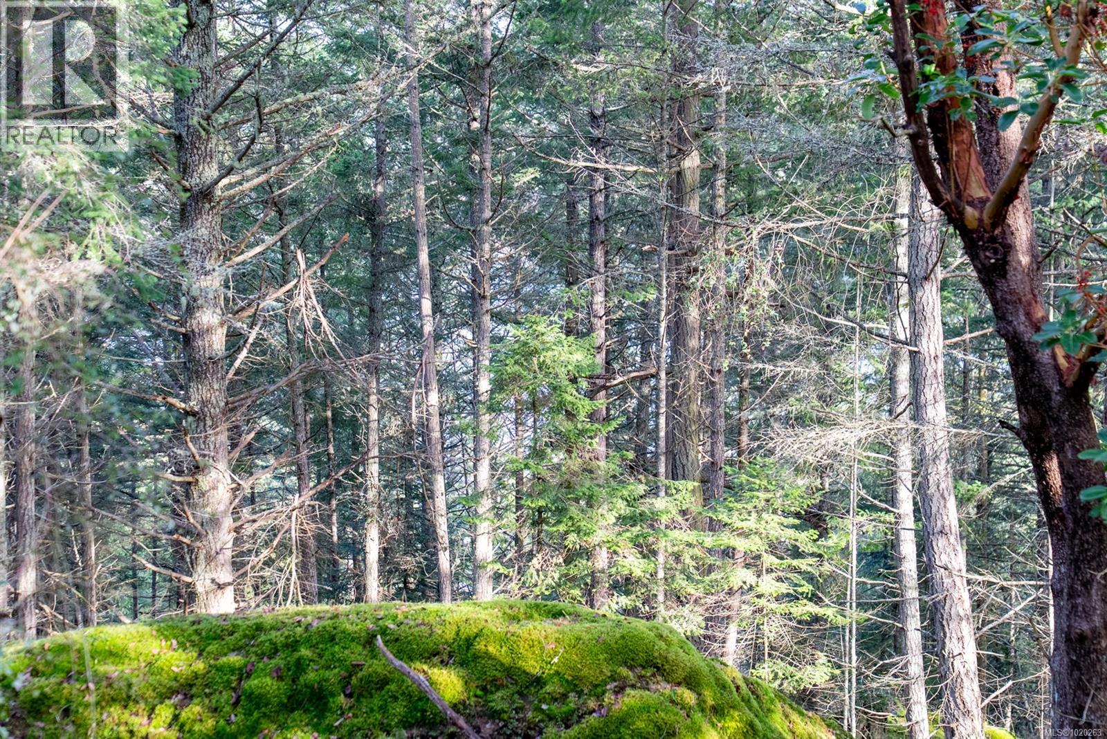 7904 Plumper Way, Pender Island, British Columbia  V0N 2M2 - Photo 21 - 1020263