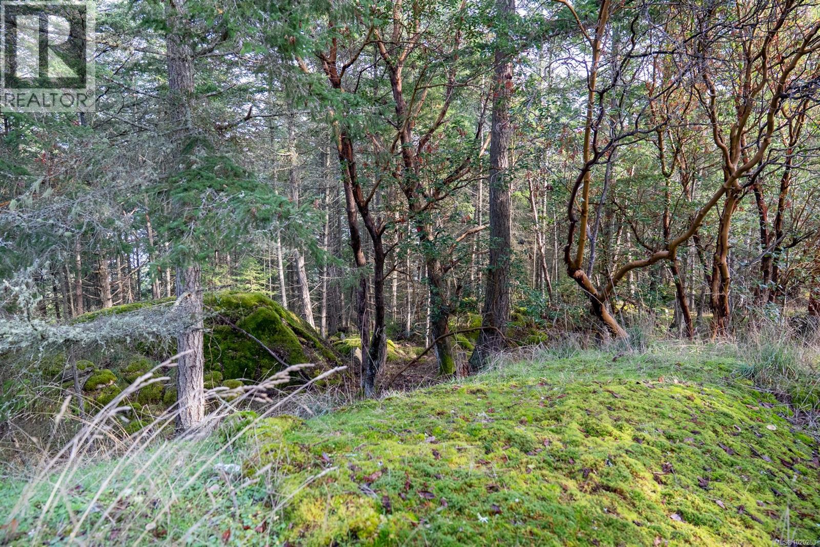 7904 Plumper Way, Pender Island, British Columbia  V0N 2M2 - Photo 24 - 1020263