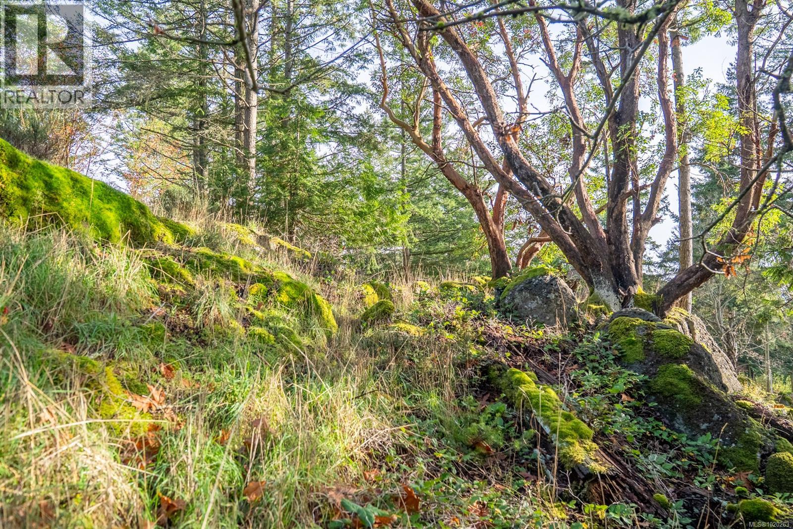 7904 Plumper Way, Pender Island, British Columbia  V0N 2M2 - Photo 14 - 1020263