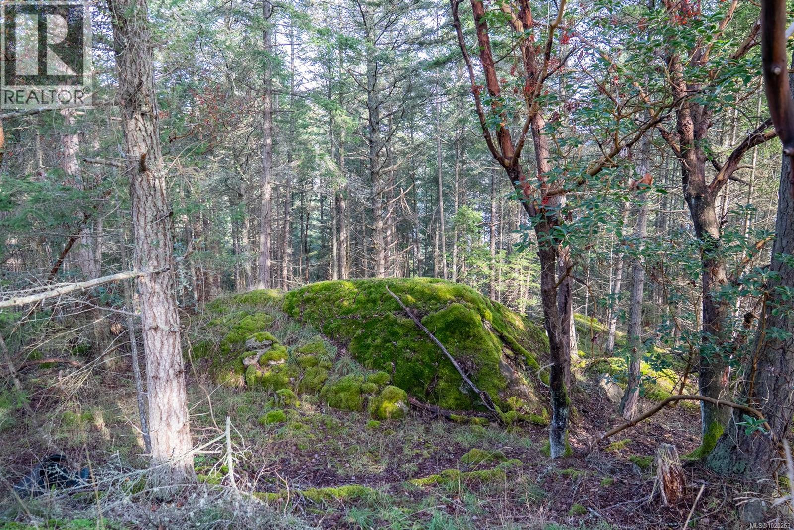 7904 Plumper Way, Pender Island, British Columbia  V0N 2M2 - Photo 23 - 1020263