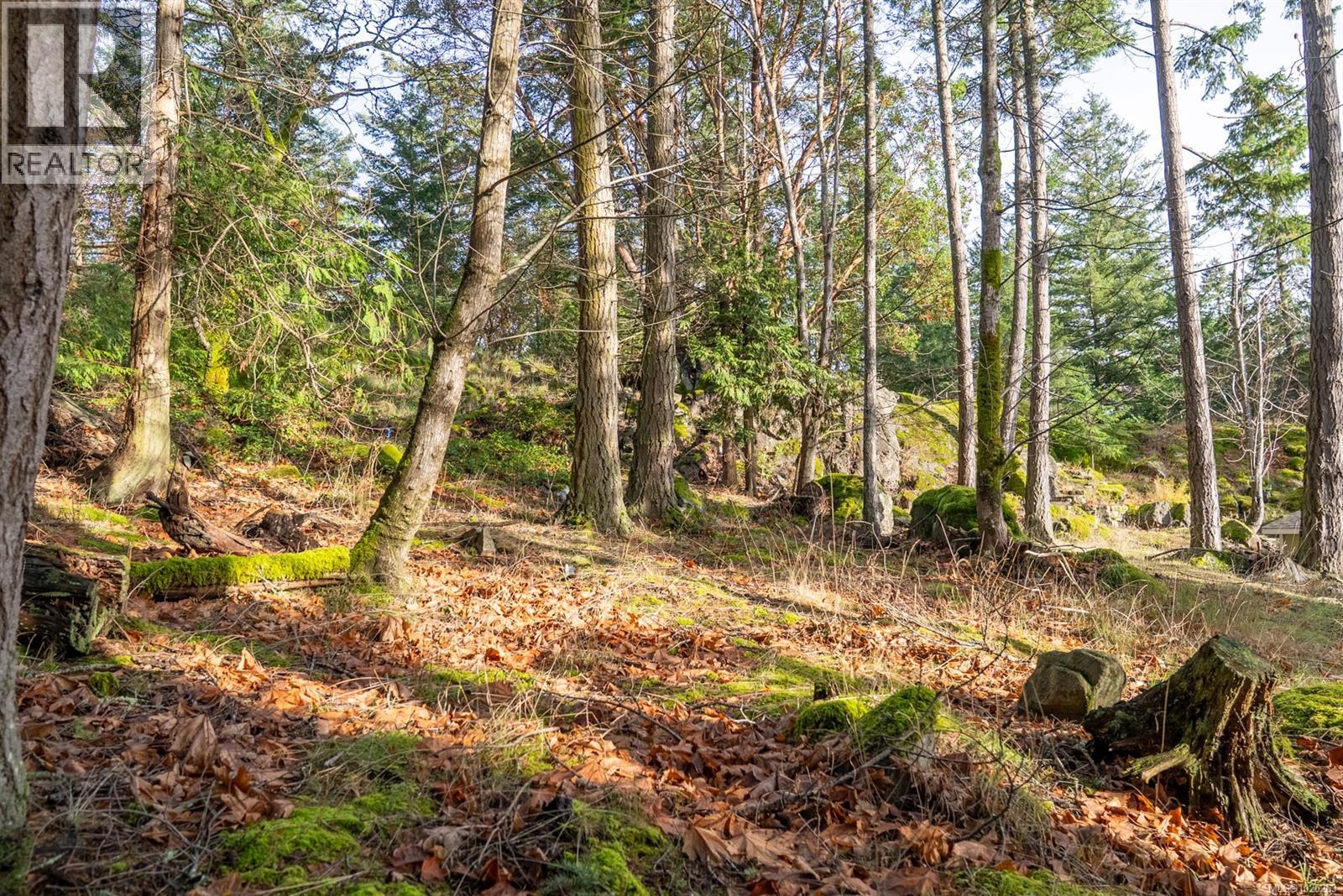 7904 Plumper Way, Pender Island, British Columbia  V0N 2M2 - Photo 5 - 1020263