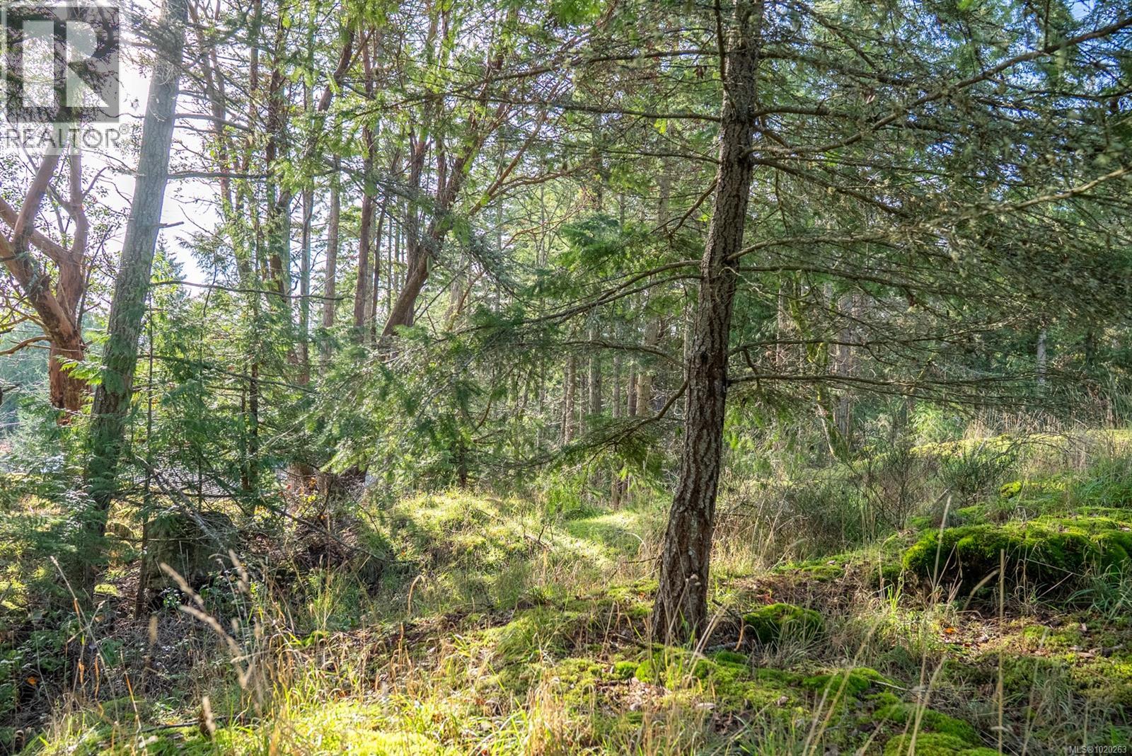 7904 Plumper Way, Pender Island, British Columbia  V0N 2M2 - Photo 22 - 1020263