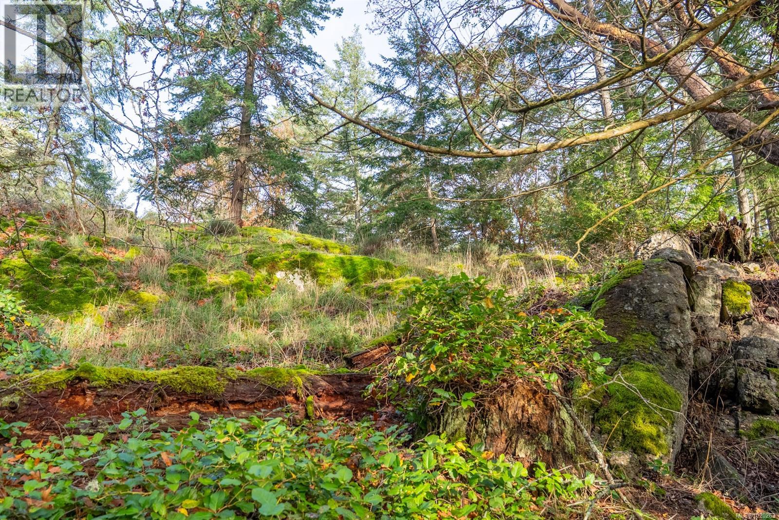 7904 Plumper Way, Pender Island, British Columbia  V0N 2M2 - Photo 29 - 1020263