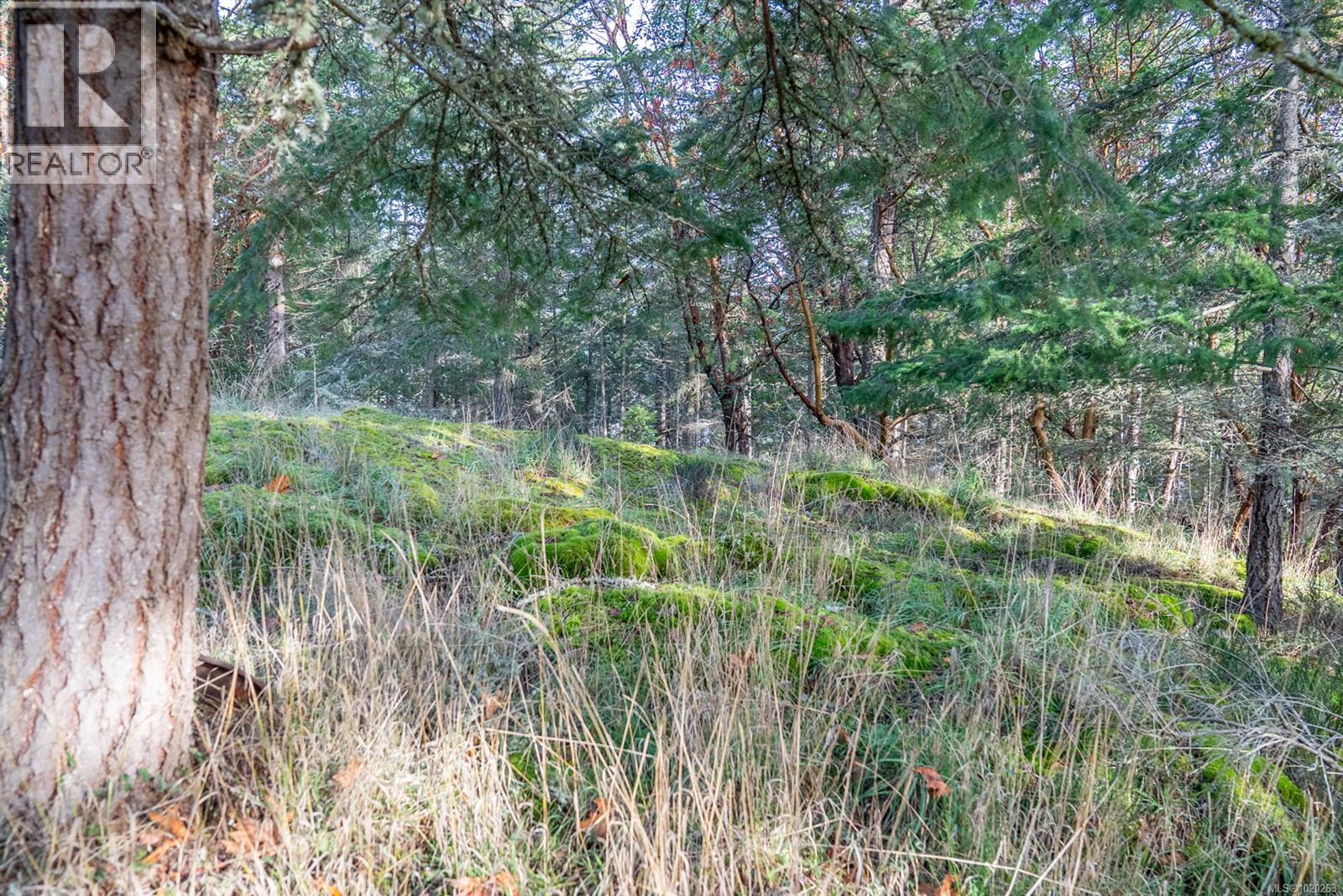 7904 Plumper Way, Pender Island, British Columbia  V0N 2M2 - Photo 16 - 1020263