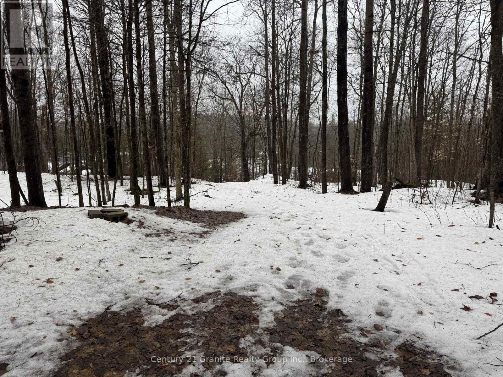 1037 Rotunda Drive, Highlands East (Glamorgan), Ontario  K0M 1R0 - Photo 28 - X12892838