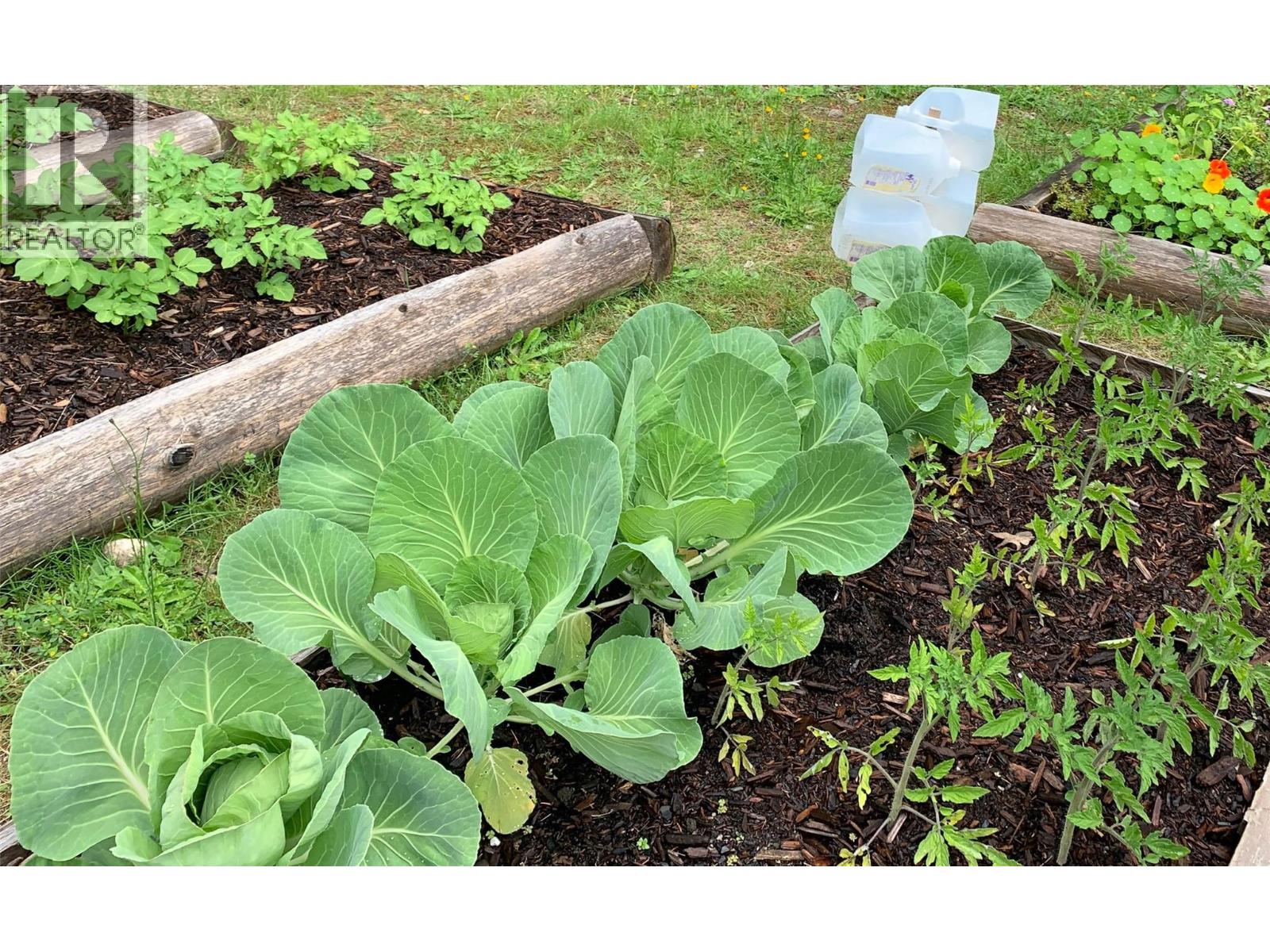 375 Alexander Road, Nakusp, British Columbia  V0G 1R1 - Photo 34 - 10379477