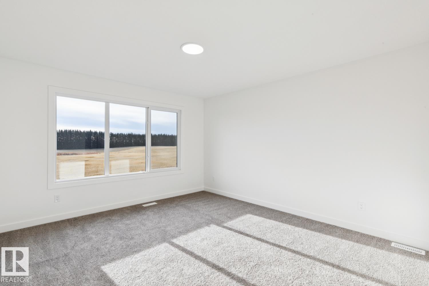 1519 11 Av Nw, Edmonton, Alberta  T6T 2W4 - Photo 38 - E4468956