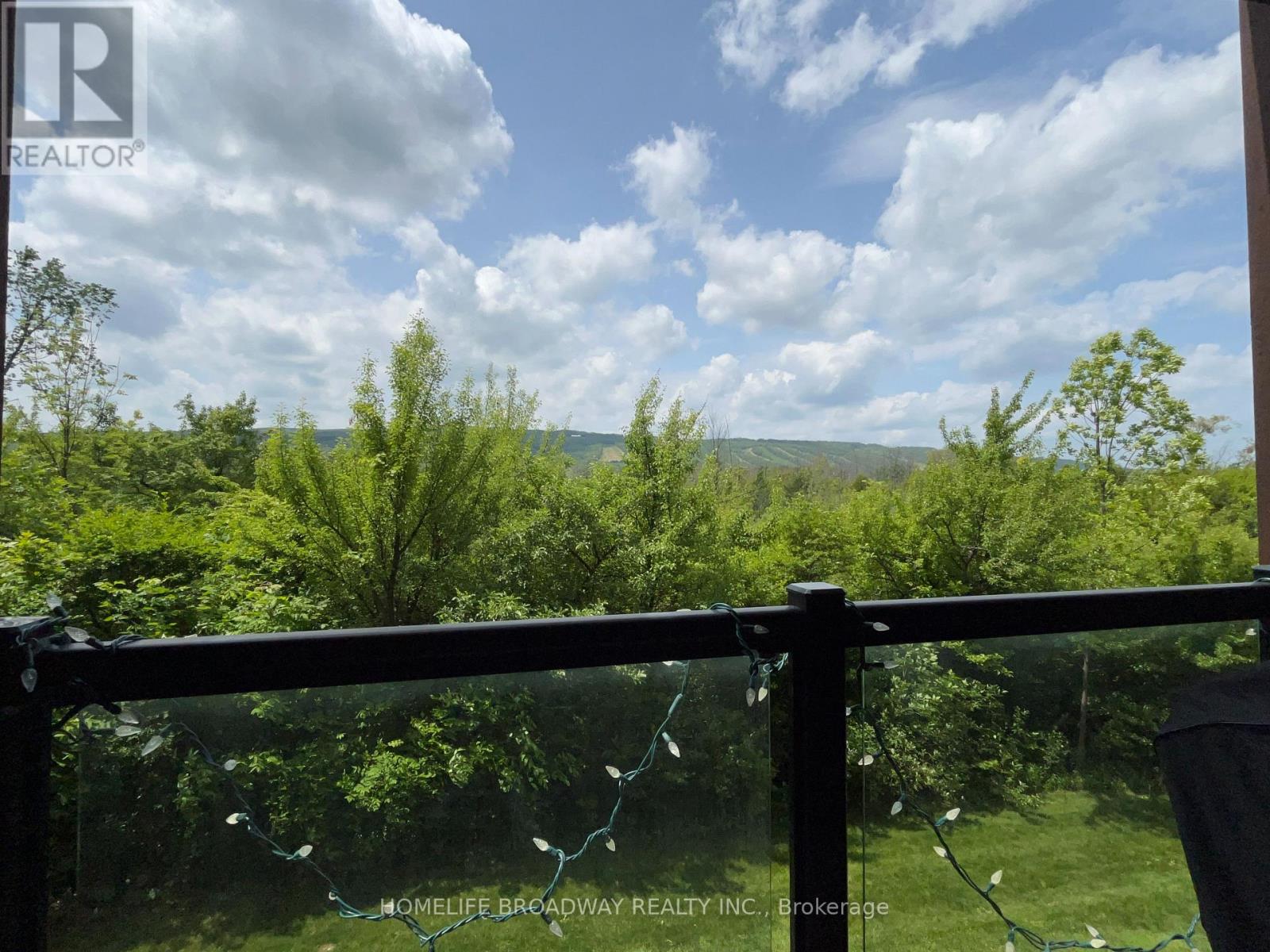 205 - 18 Beckwith Lane, Blue Mountains, Ontario  L9Y 3B6 - Photo 27 - X12893158