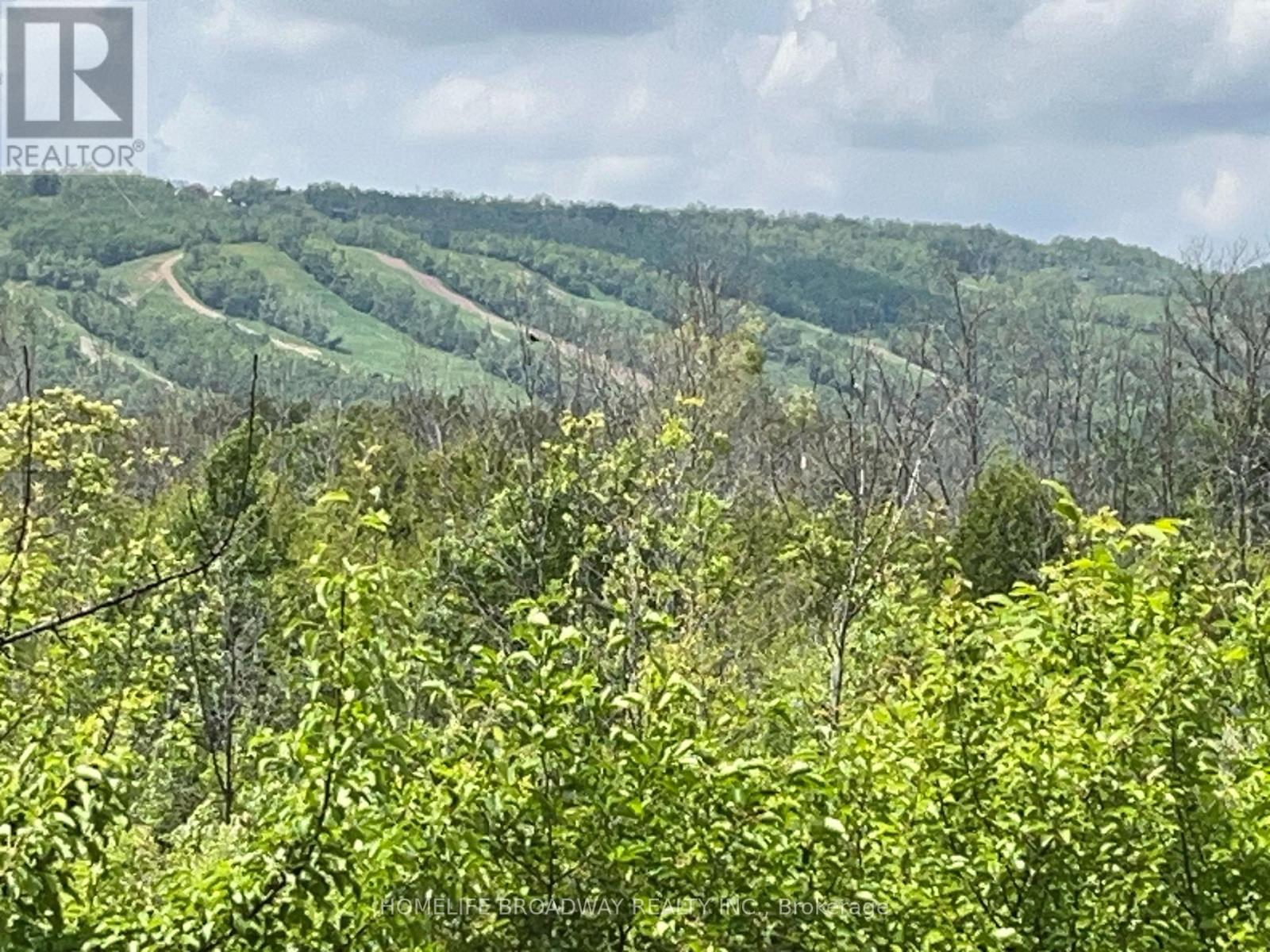 205 - 18 Beckwith Lane, Blue Mountains, Ontario  L9Y 3B6 - Photo 28 - X12893158