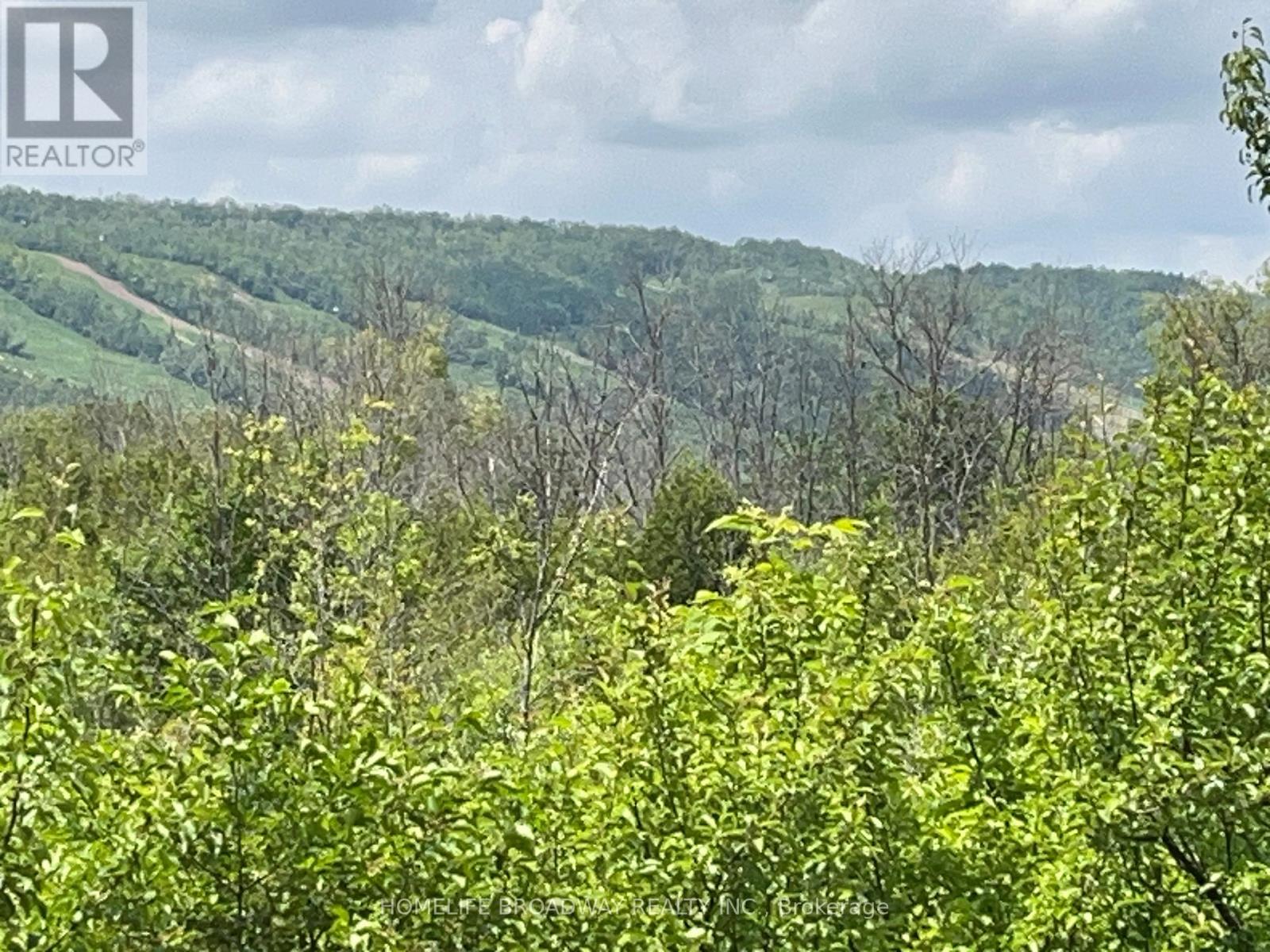 205 - 18 Beckwith Lane, Blue Mountains, Ontario  L9Y 3B6 - Photo 38 - X12893158