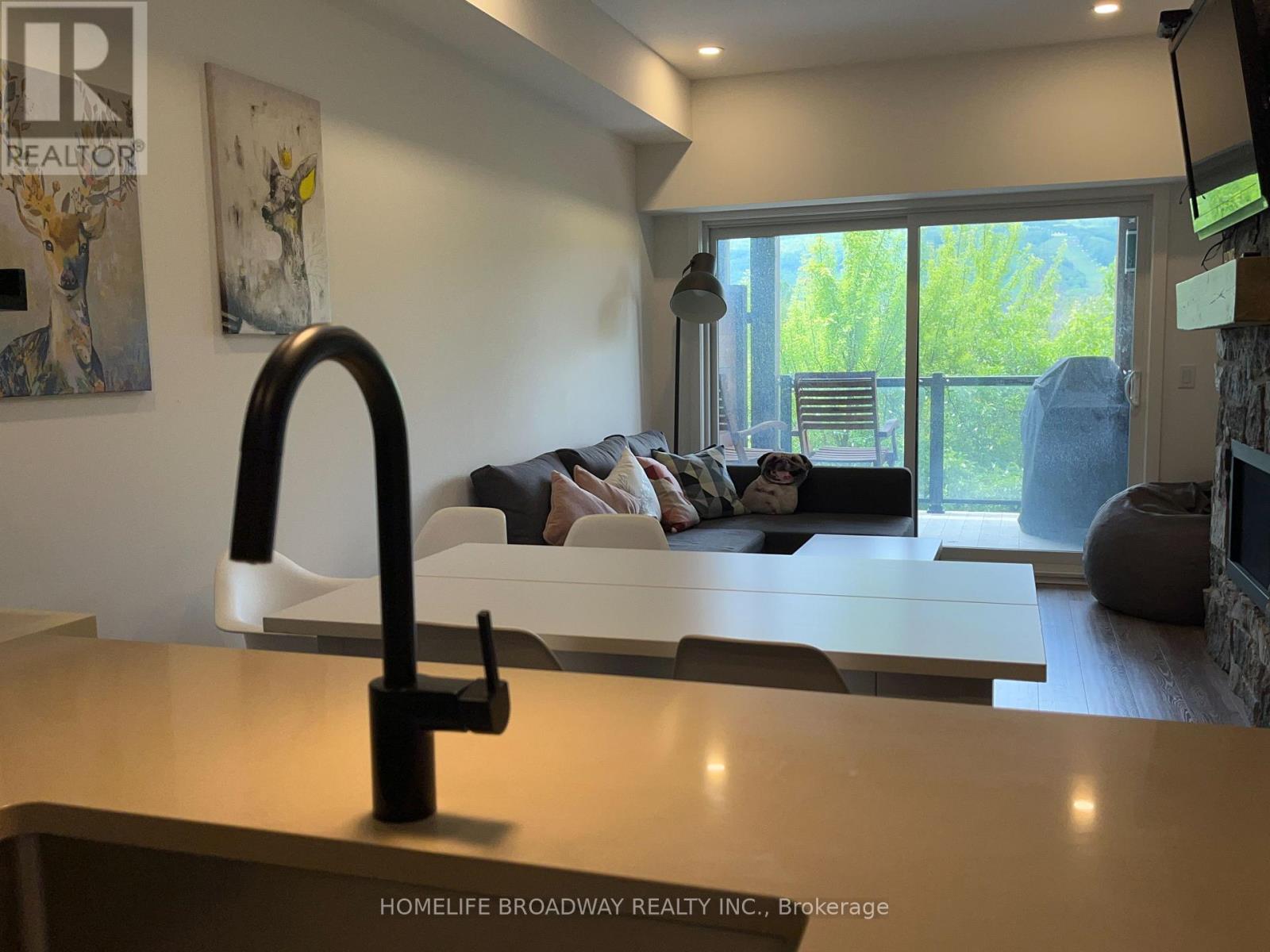 205 - 18 Beckwith Lane, Blue Mountains, Ontario  L9Y 3B6 - Photo 41 - X12893158