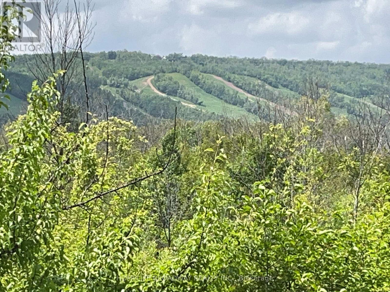 205 - 18 Beckwith Lane, Blue Mountains, Ontario  L9Y 3B6 - Photo 48 - X12893158