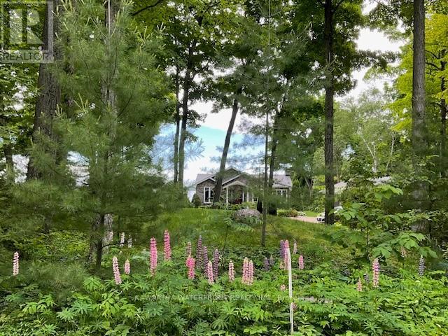 48 Maple Avenue, Kawartha Lakes, Ontario  K0M 2B0 - Photo 45 - X12893708