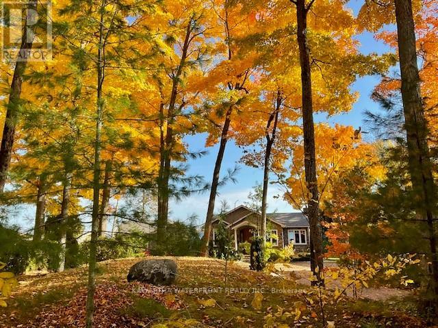 48 Maple Avenue, Kawartha Lakes, Ontario  K0M 2B0 - Photo 46 - X12893708