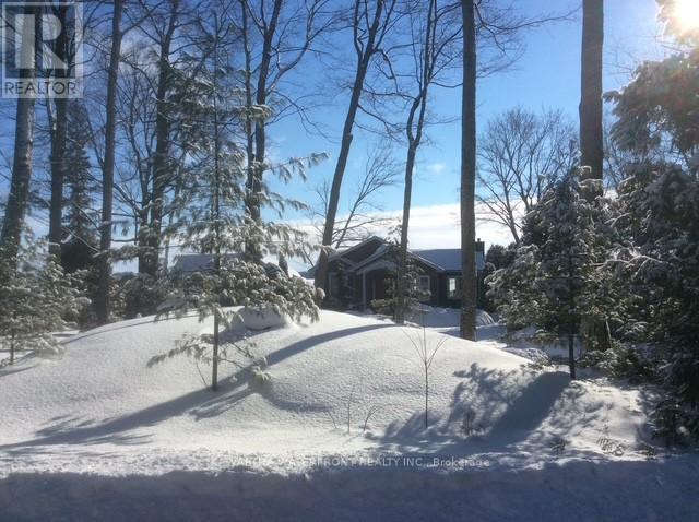 48 Maple Avenue, Kawartha Lakes, Ontario  K0M 2B0 - Photo 47 - X12893708