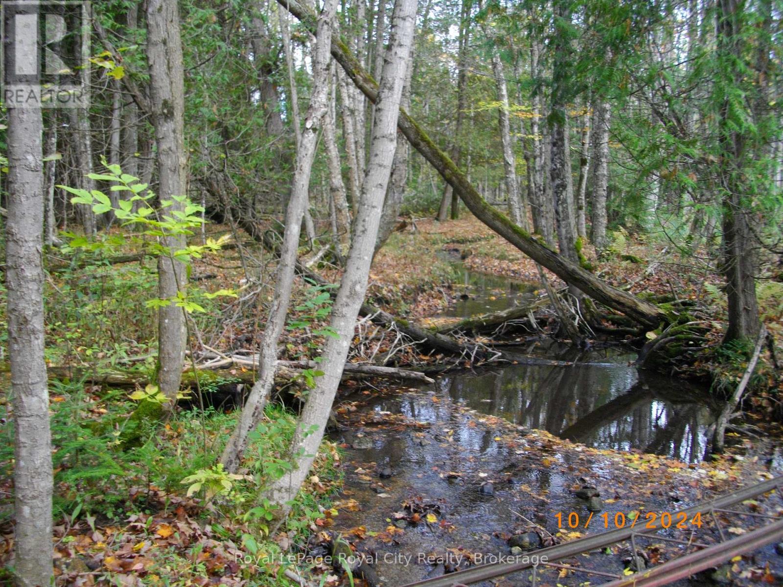 6127 First Line, Erin, Ontario  L0N 1N0 - Photo 14 - X12893696