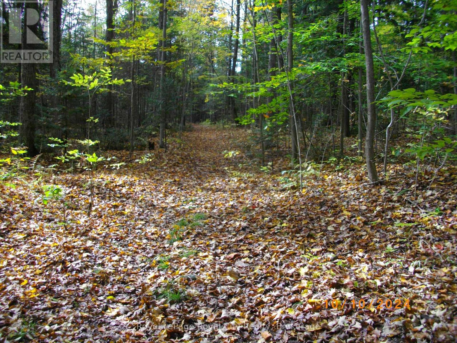 6127 First Line, Erin, Ontario  L0N 1N0 - Photo 15 - X12893696