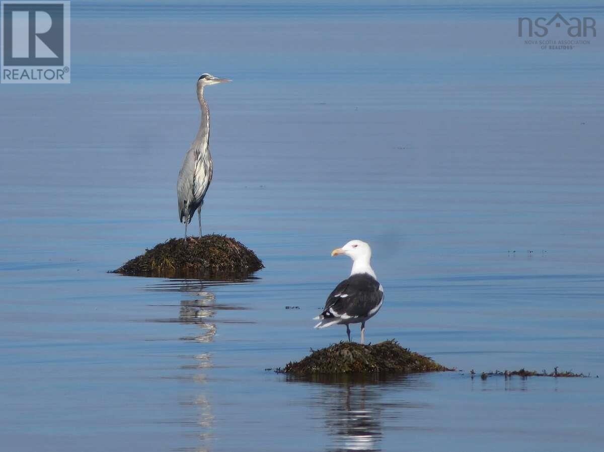 259 Big Tancook Island Road, Big Tancook Island, Nova Scotia  B0J 3G0 - Photo 28 - 202529251