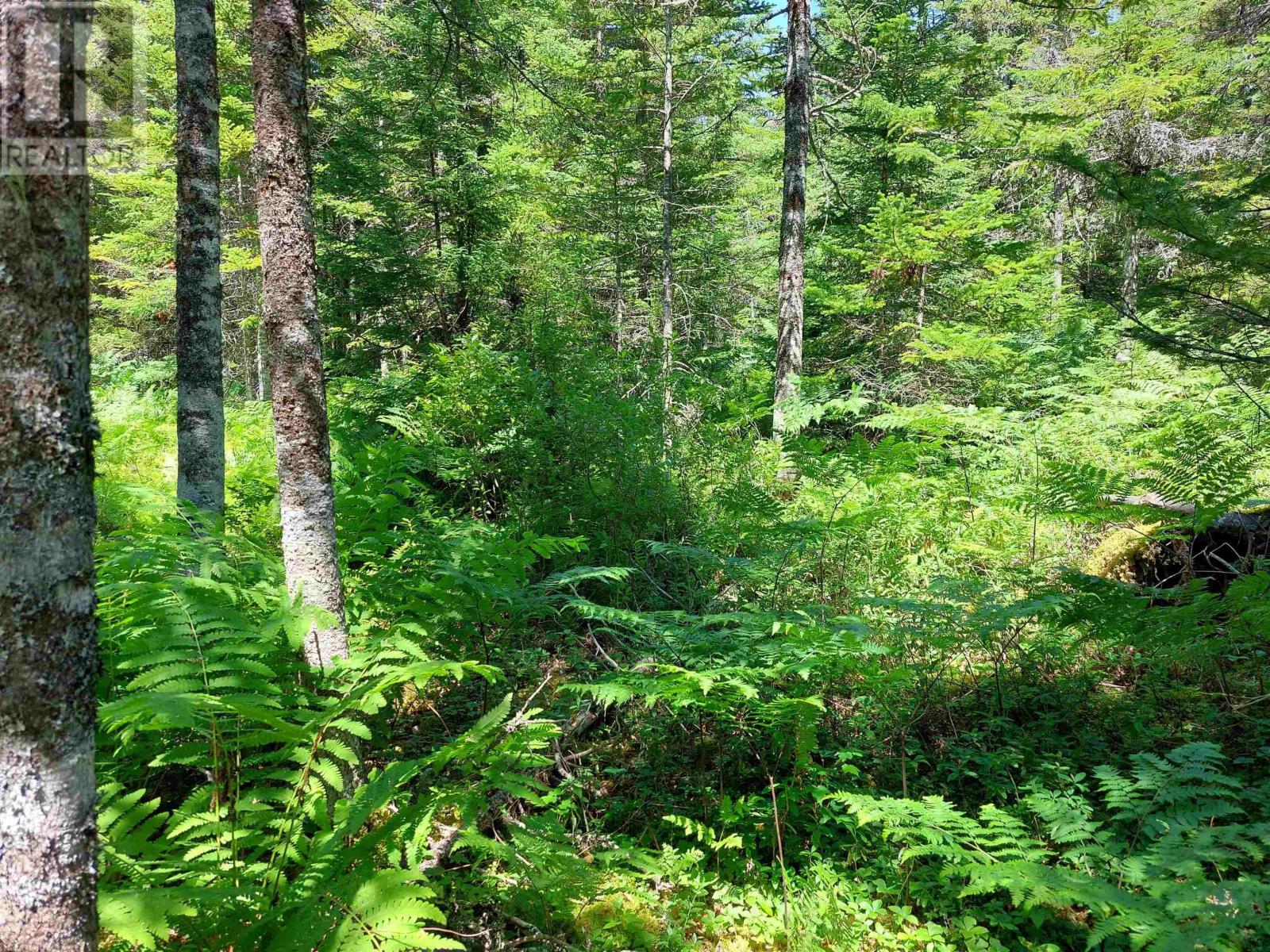 Lot 47e Widow Point Loop, West Bay Marshes, Nova Scotia  B0E 3K0 - Photo 15 - 202601161