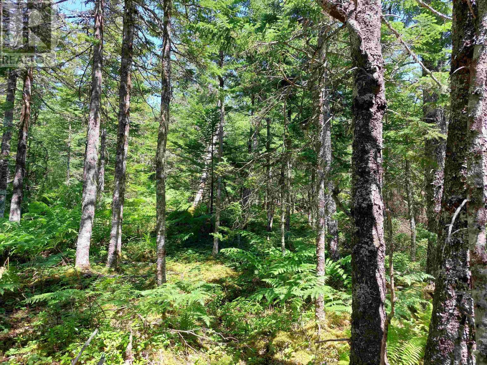 Lot 47e Widow Point Loop, West Bay Marshes, Nova Scotia  B0E 3K0 - Photo 5 - 202601161