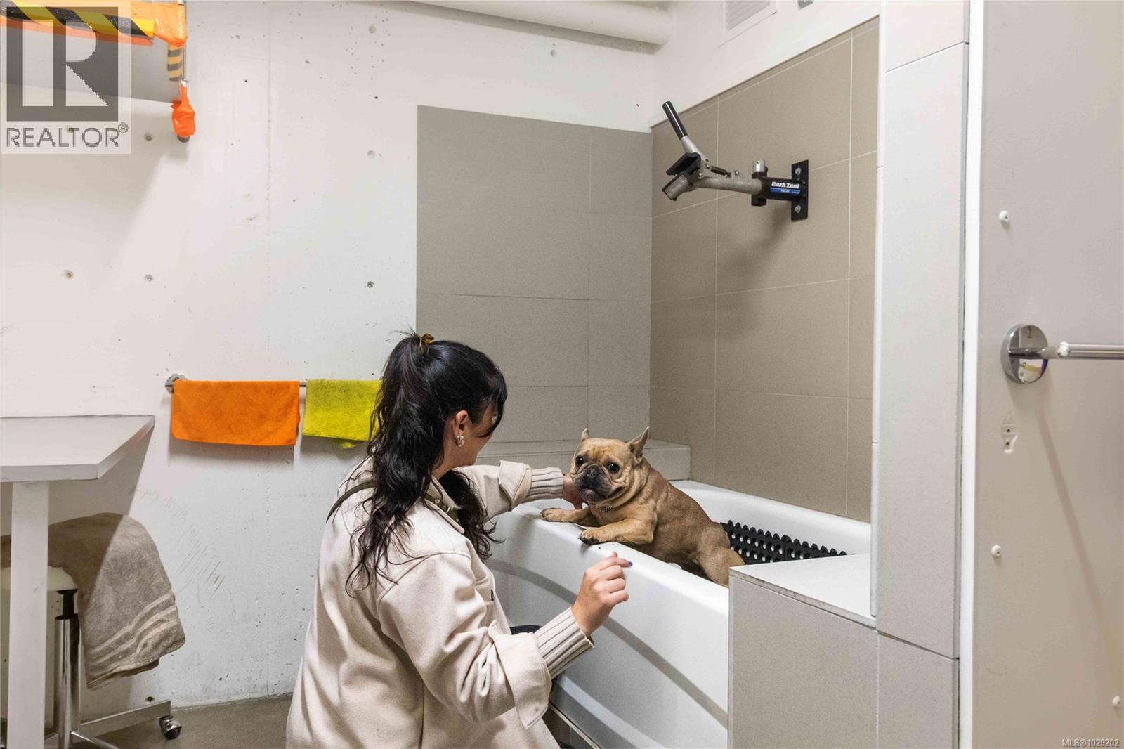 409 1033 Cook St, Victoria, British Columbia  V8V 0E1 - Photo 26 - 1029202