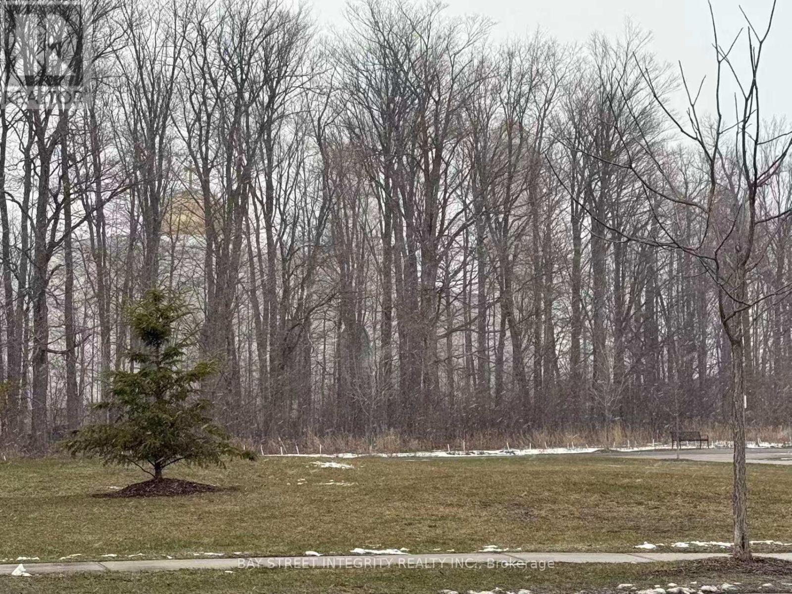 #2 - 26 Carolina Rose Crescent, Markham (Wismer), Ontario  L6E 0P2 - Photo 9 - N12894042