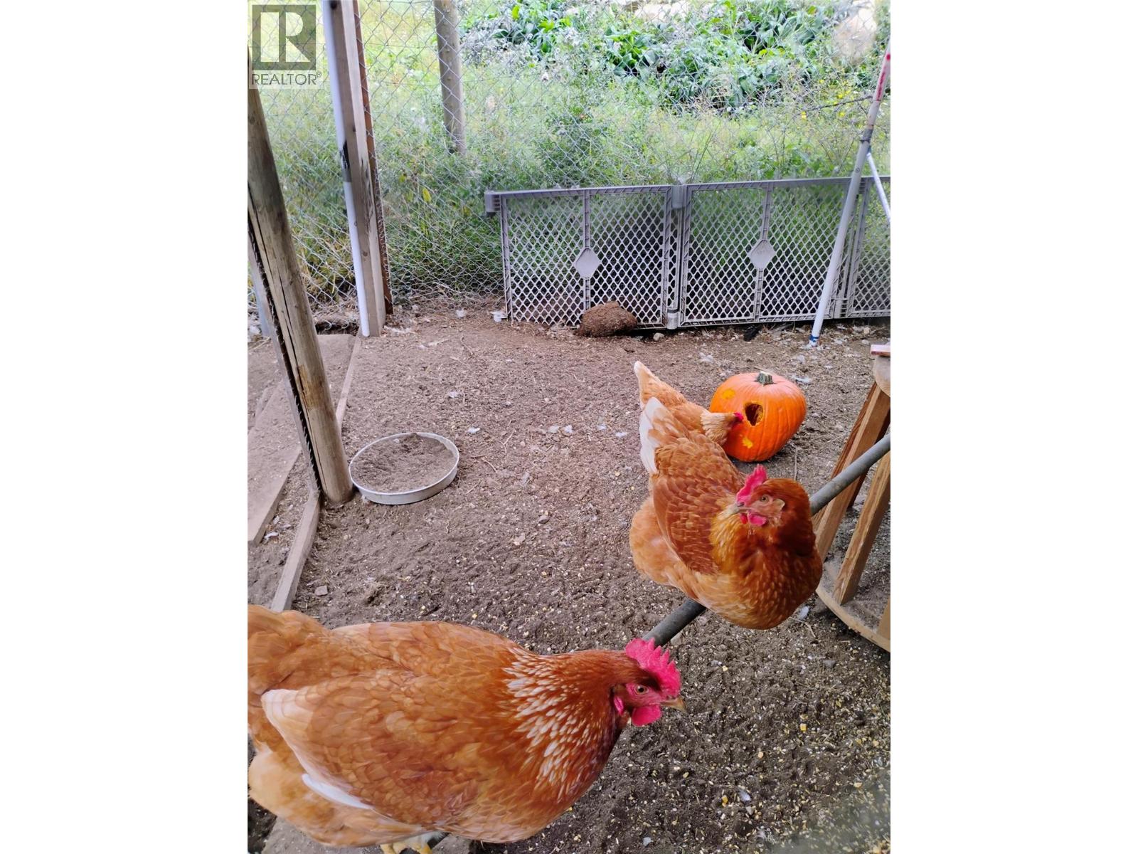 4229 CASINO Road Trail Photo 47 4229 CASINO Road Trail Photo 47