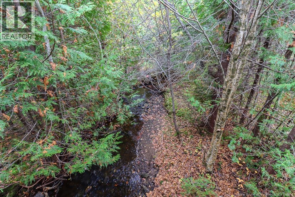 19 Bridgeford Drive, Quispamsis, New Brunswick  E2S 0C3 - Photo 4 - NB119409