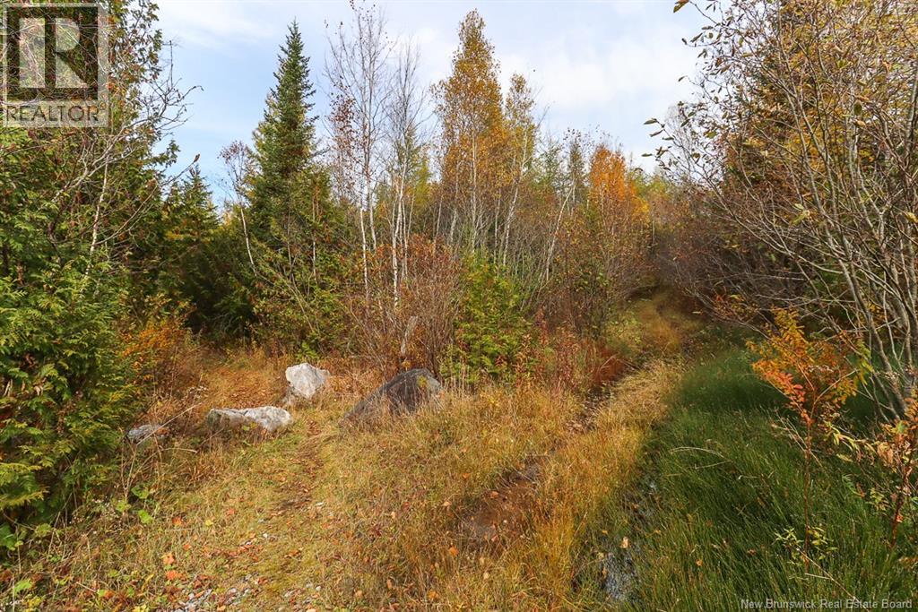 19 Bridgeford Drive, Quispamsis, New Brunswick  E2S 0C3 - Photo 11 - NB119409