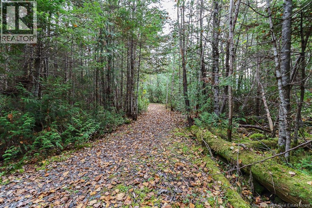 19 Bridgeford Drive, Quispamsis, New Brunswick  E2S 0C3 - Photo 13 - NB119409