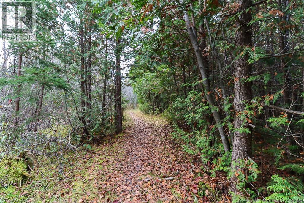 19 Bridgeford Drive, Quispamsis, New Brunswick  E2S 0C3 - Photo 3 - NB119409