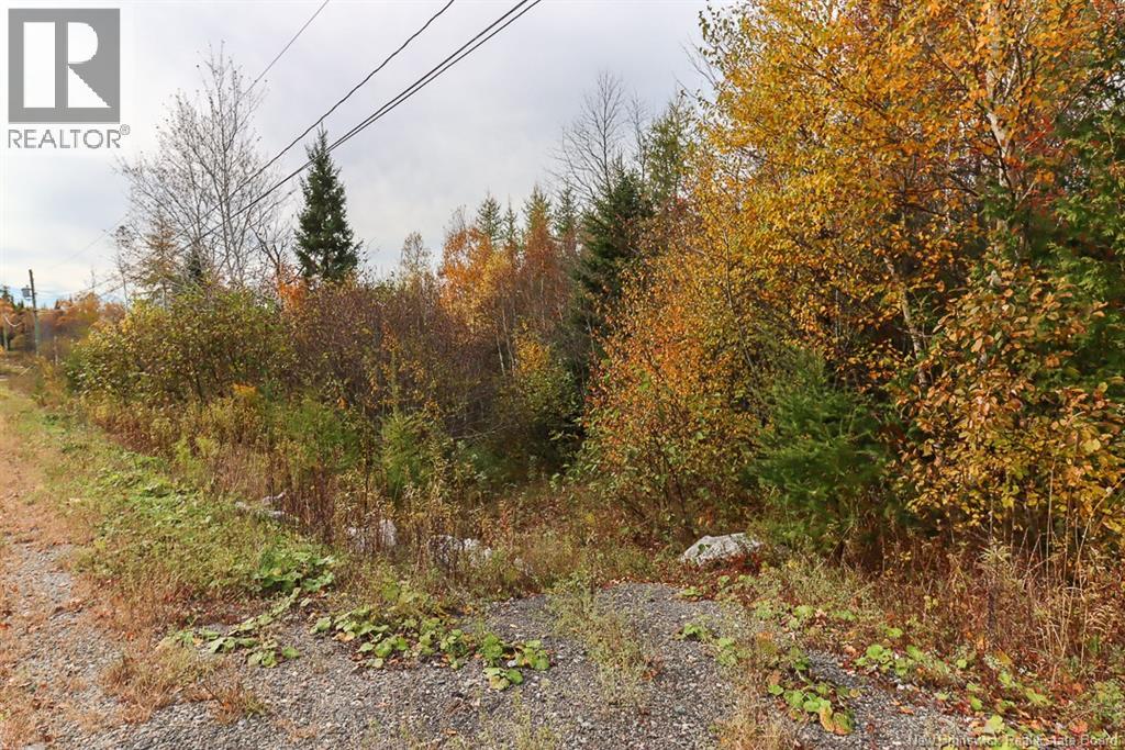 19 Bridgeford Drive, Quispamsis, New Brunswick  E2S 0C3 - Photo 22 - NB119409