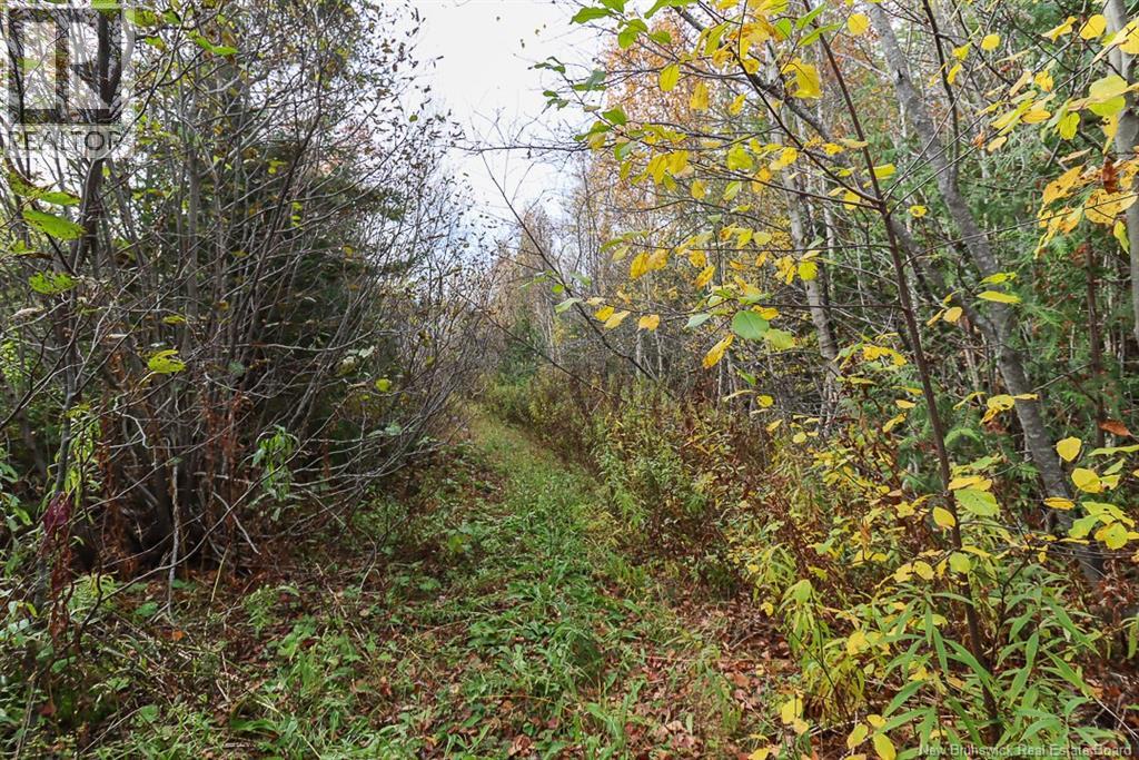 19 Bridgeford Drive, Quispamsis, New Brunswick  E2S 0C3 - Photo 21 - NB119409