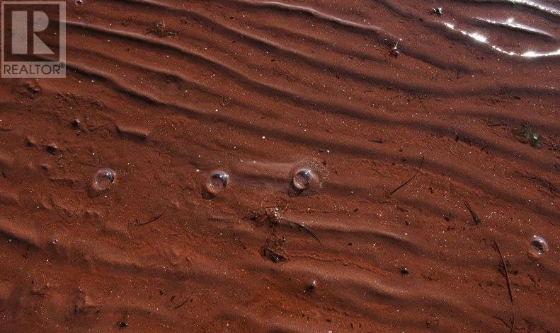 St Nicholas, St. Nicholas, Prince Edward Island  C0B 1B0 - Photo 8 - 201918347