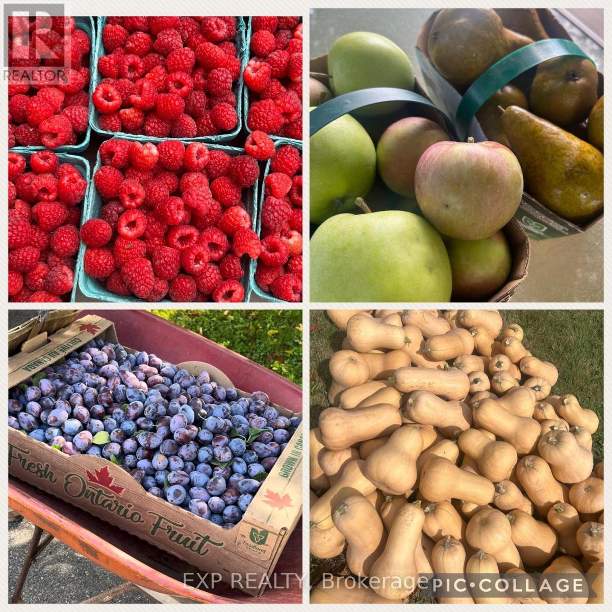 1243 5 Highway W, Hamilton, Ontario  L9H 5E1 - Photo 44 - X12894194