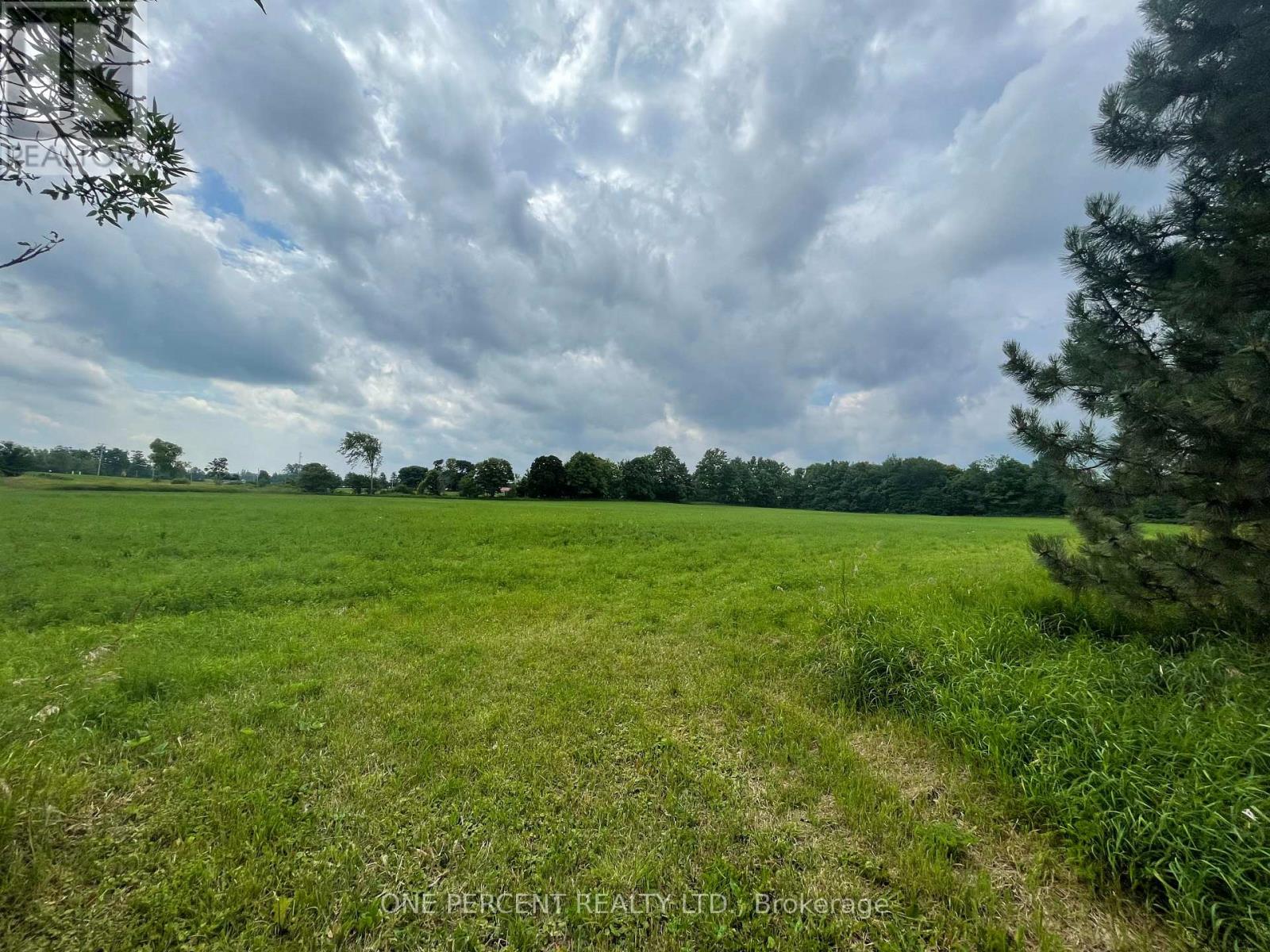 196690 Grey Road 7 Road, Grey Highlands, Ontario  N4L 1W7 - Photo 30 - X12894276